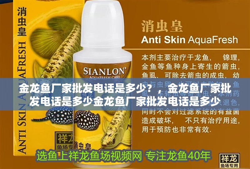 金龍魚廠家批發電話是多少？，金龍魚廠家批發電話是多少金龍魚廠家批發電話是多少