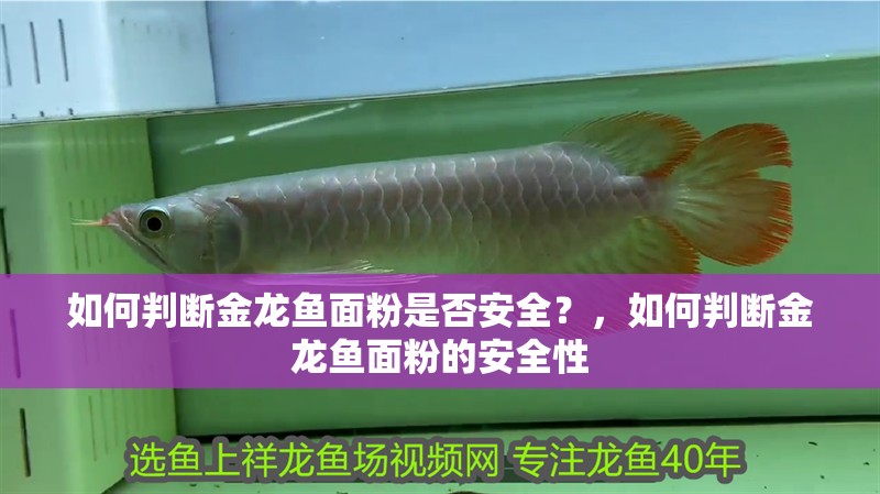 如何判斷金龍魚面粉是否安全？，如何判斷金龍魚面粉的安全性