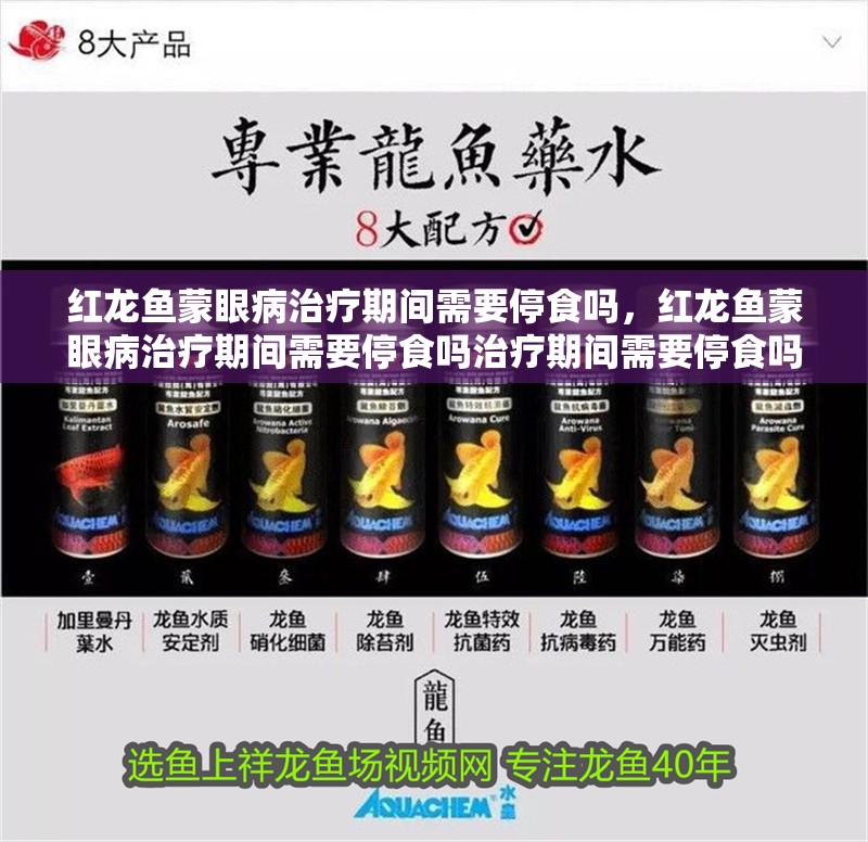 紅龍魚蒙眼病治療期間需要停食嗎，紅龍魚蒙眼病治療期間需要停食嗎治療期間需要停食嗎