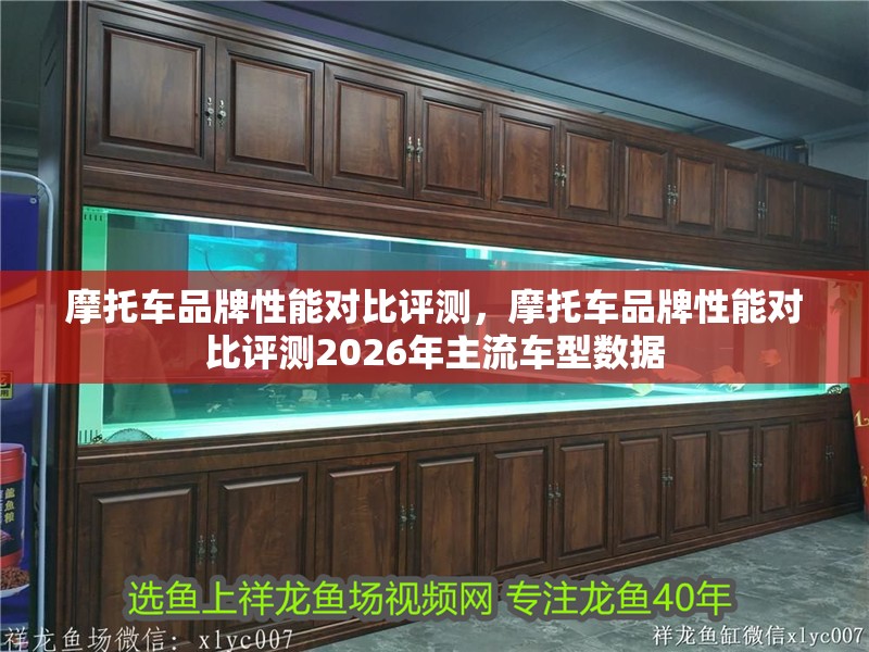 摩托車品牌性能對比評測，摩托車品牌性能對比評測2026年主流車型數據