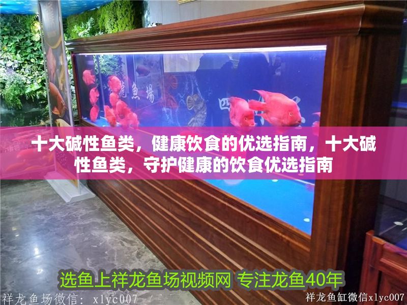 十大堿性魚類，健康飲食的優選指南，十大堿性魚類，守護健康的飲食優選指南