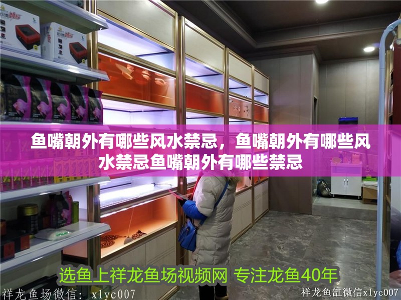 魚嘴朝外有哪些風水禁忌，魚嘴朝外有哪些風水禁忌魚嘴朝外有哪些禁忌