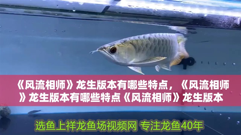 《風流相師》龍生版本有哪些特點，《風流相師》龍生版本有哪些特點《風流相師》龍生版本有哪些特點
