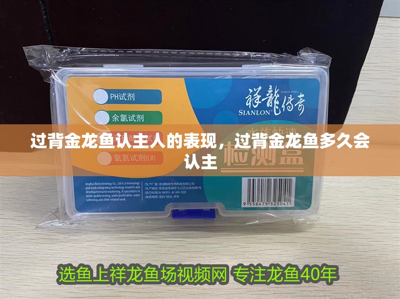 過背金龍魚認主人的表現，過背金龍魚多久會認主