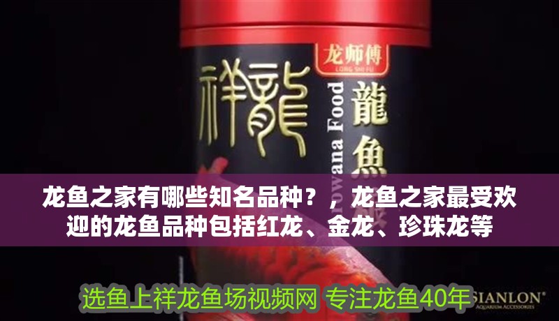 龍魚之家有哪些知名品種？，龍魚之家最受歡迎的龍魚品種包括紅龍、金龍、珍珠龍等