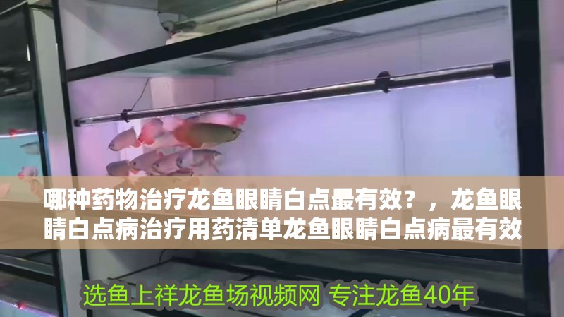 哪種藥物治療龍魚眼睛白點最有效？，龍魚眼睛白點病治療用藥清單龍魚眼睛白點病最有效