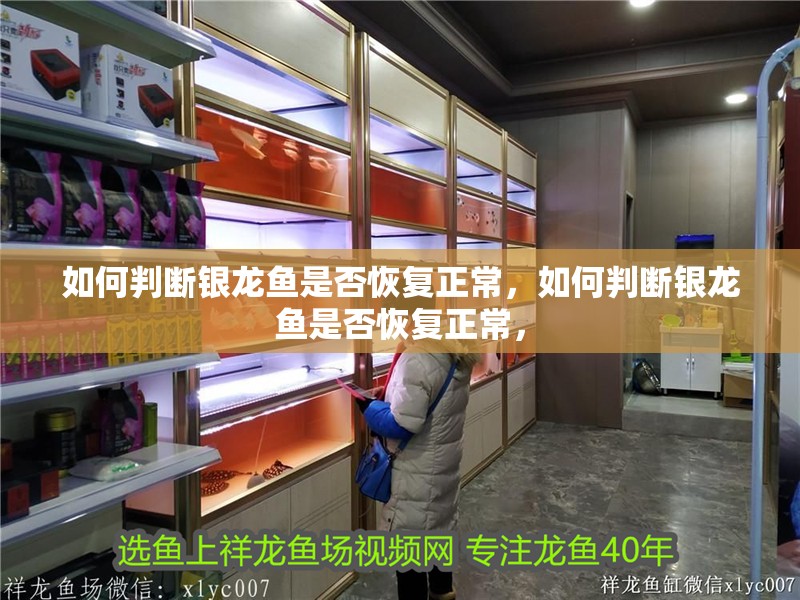 詳細閱讀:如何判斷銀龍魚是否恢復(fù)正常,如何判斷銀龍魚是否恢復(fù)正常, 如何判斷銀龍魚是否恢復(fù)正常,如何判斷銀龍魚是否恢復(fù)正常,