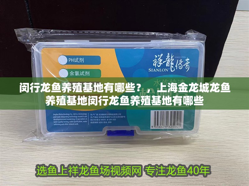 閔行龍魚養殖基地有哪些？，上海金龍城龍魚養殖基地閔行龍魚養殖基地有哪些