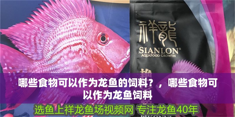 哪些食物可以作為龍魚的飼料？，哪些食物可以作為龍魚飼料
