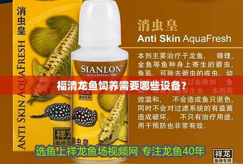 福清龍魚飼養需要哪些設備？