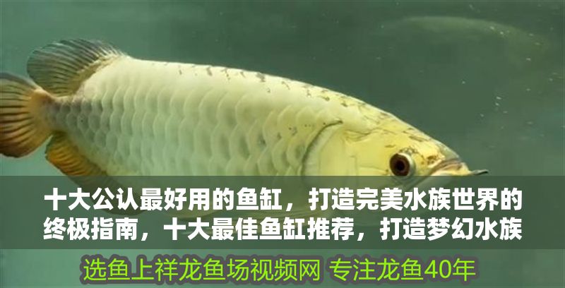 十大公認(rèn)最好用的魚缸，打造完美水族世界的終極指南，十大最佳魚缸推薦，打造夢幻水族世界的終極指南