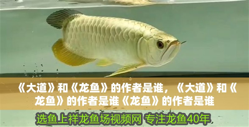 《大道》和《龍魚》的作者是誰，《大道》和《龍魚》的作者是誰《龍魚》的作者是誰