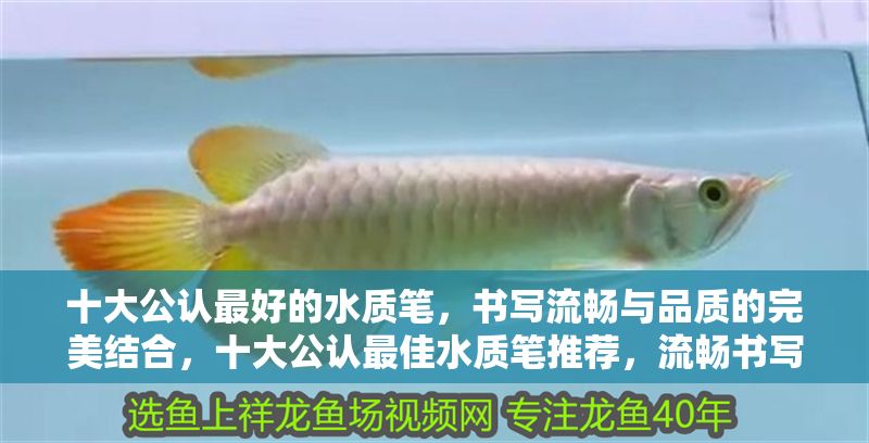 十大公認最好的水質筆，書寫流暢與品質的完美結合，十大公認最佳水質筆推薦，流暢書寫與卓越品質的完美之選