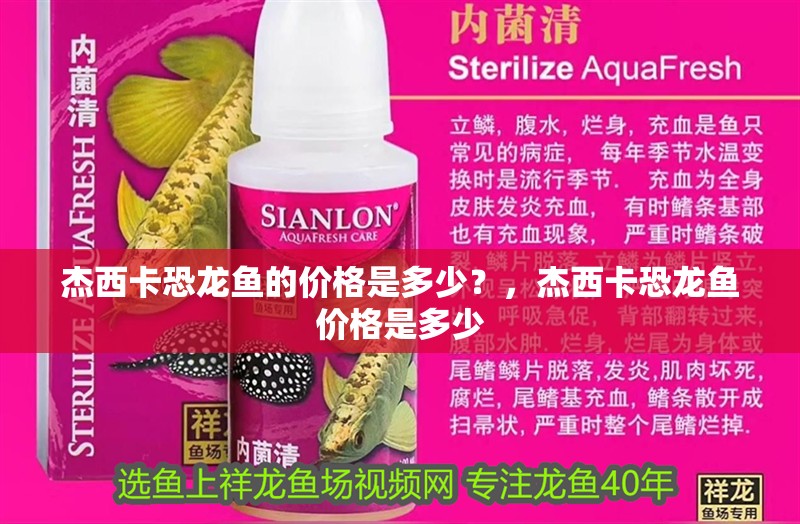 杰西卡恐龍魚的價格是多少？，杰西卡恐龍魚價格是多少