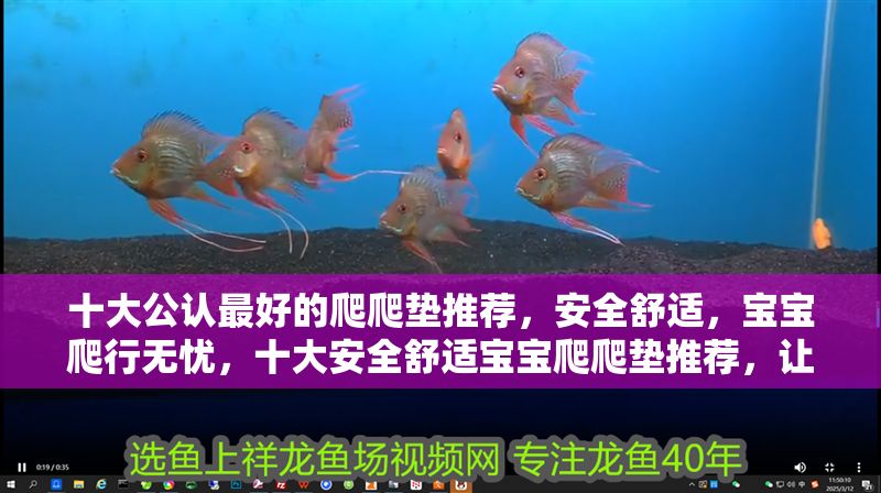 十大公認最好的爬爬墊推薦，安全舒適，寶寶爬行無憂，十大安全舒適寶寶爬爬墊推薦，讓寶寶爬行更無憂