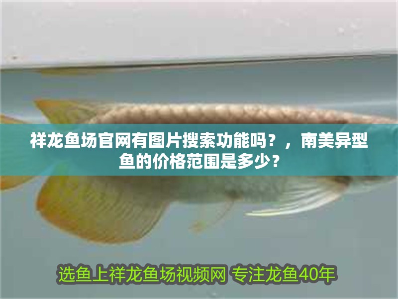祥龍魚場官網有圖片搜索功能嗎？，南美異型魚的價格范圍是多少？