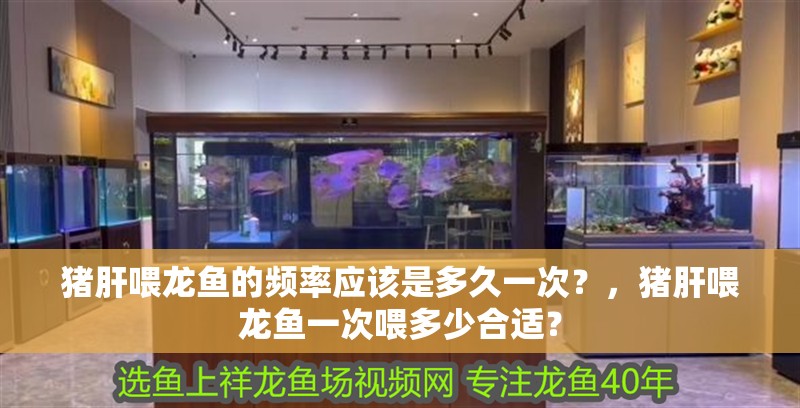 豬肝喂龍魚的頻率應(yīng)該是多久一次？，豬肝喂龍魚一次喂多少合適？