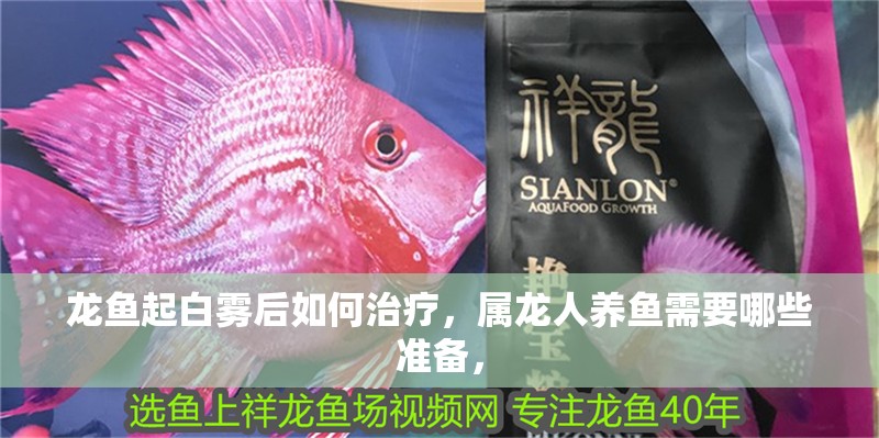 龍魚起白霧后如何治療，屬龍人養(yǎng)魚需要哪些準(zhǔn)備， 龍魚起白霧后如何治療，屬龍人養(yǎng)魚需要哪些準(zhǔn)備， 龍魚百科
