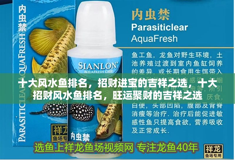 十大風水魚排名，招財進寶的吉祥之選，十大招財風水魚排名，旺運聚財的吉祥之選