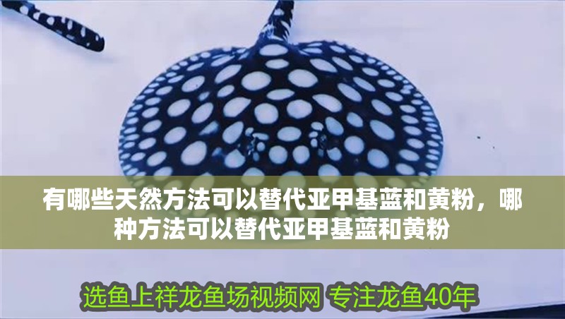 有哪些天然方法可以替代亞甲基藍和黃粉，哪種方法可以替代亞甲基藍和黃粉