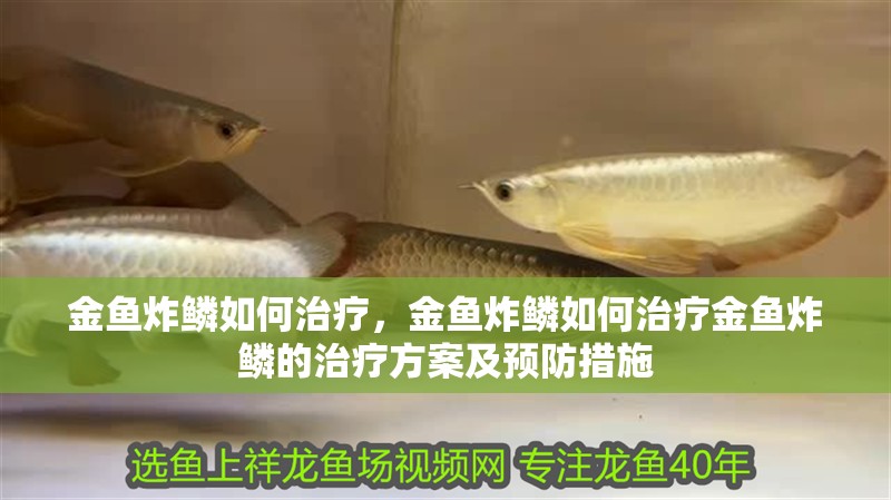 金魚炸鱗如何治療，金魚炸鱗如何治療金魚炸鱗的治療方案及預防措施