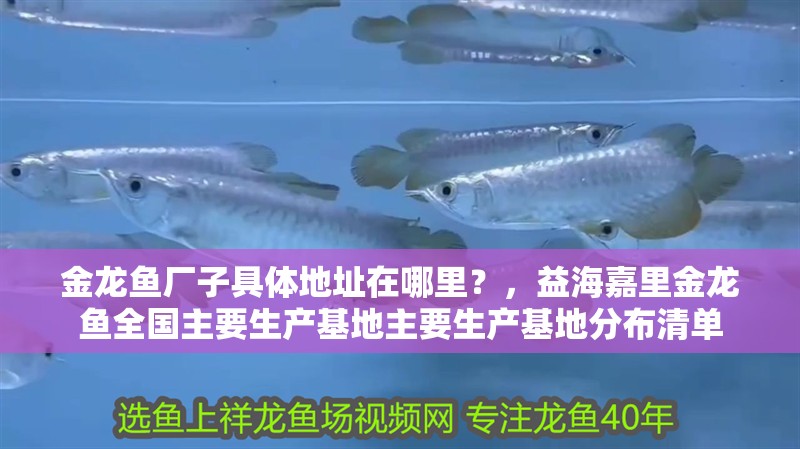 金龍魚廠子具體地址在哪里？，益海嘉里金龍魚全國主要生產基地主要生產基地分布清單