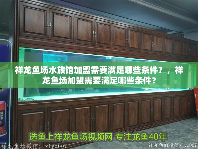 祥龍魚場水族館加盟需要滿足哪些條件？，祥龍魚場加盟需要滿足哪些條件？