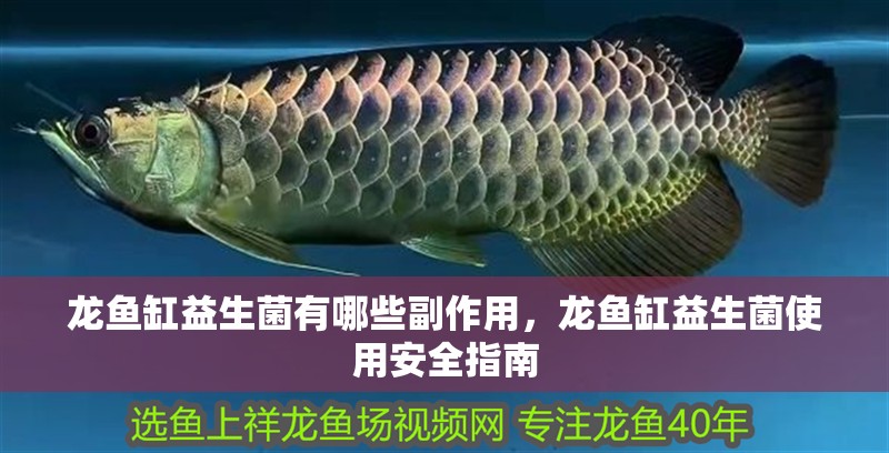 龍魚缸益生菌有哪些副作用，龍魚缸益生菌使用安全指南