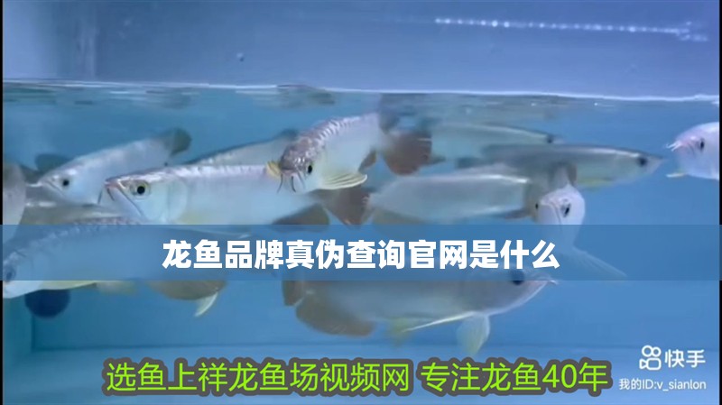 龍魚品牌真偽查詢官網是什么