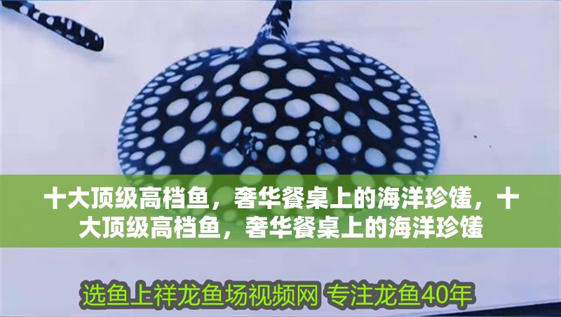 十大頂級高檔魚，奢華餐桌上的海洋珍饈，十大頂級高檔魚，奢華餐桌上的海洋珍饈