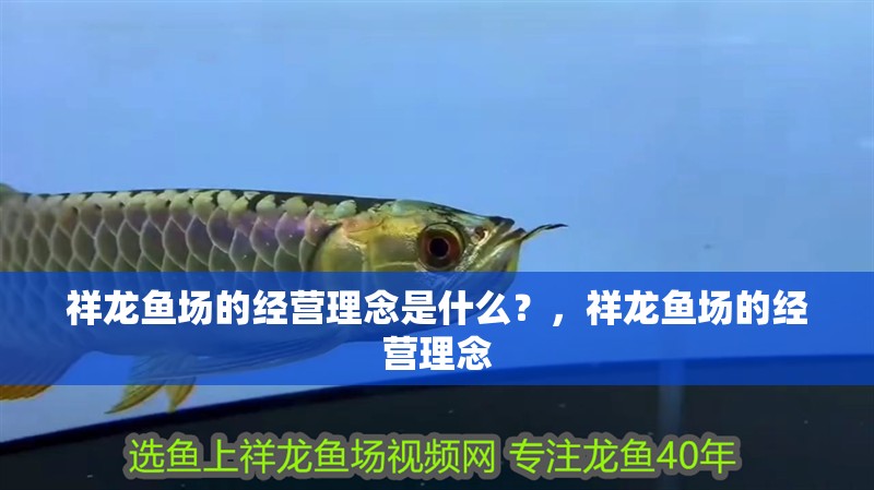 祥龍魚場的經營理念是什么？，祥龍魚場的經營理念