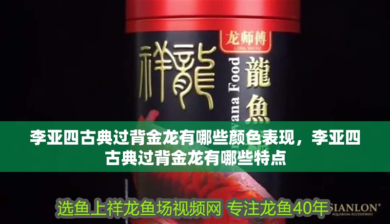李亞四古典過背金龍有哪些顏色表現(xiàn)，李亞四古典過背金龍有哪些特點