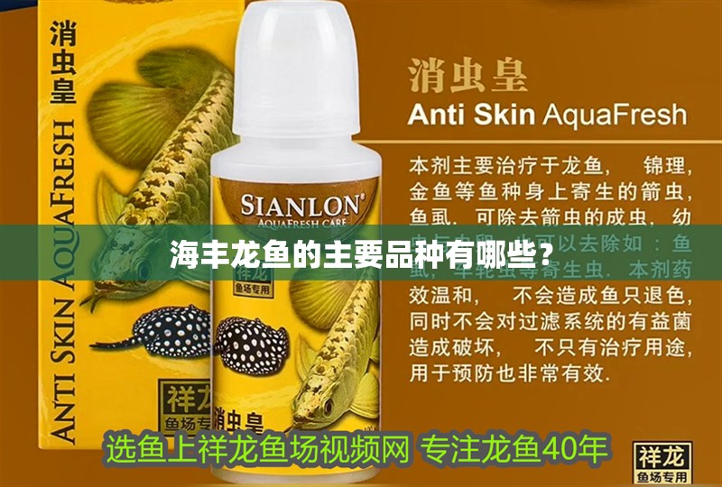 海豐龍魚的主要品種有哪些？