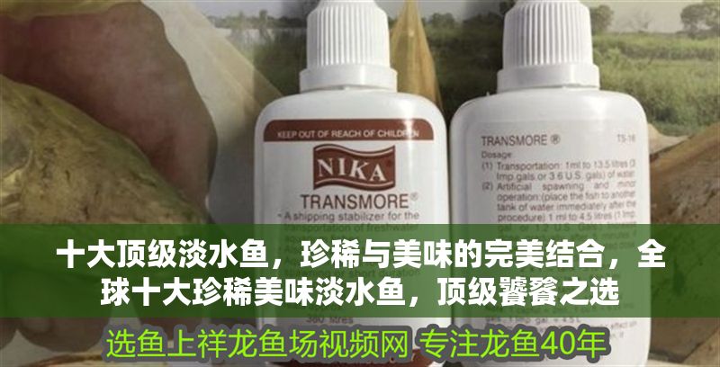 十大頂級(jí)淡水魚(yú)，珍稀與美味的完美結(jié)合，全球十大珍稀美味淡水魚(yú)，頂級(jí)饕餮之選