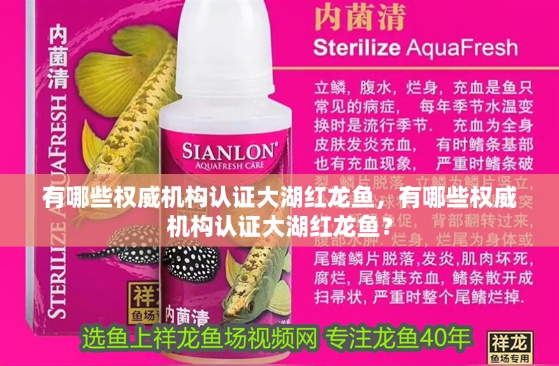 有哪些權(quán)威機(jī)構(gòu)認(rèn)證大湖紅龍魚(yú)，有哪些權(quán)威機(jī)構(gòu)認(rèn)證大湖紅龍魚(yú)？