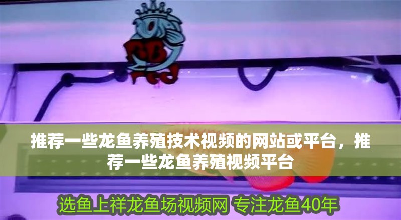 推薦一些龍魚養殖技術視頻的網站或平臺，推薦一些龍魚養殖視頻平臺
