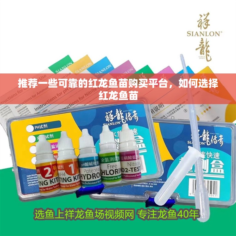 推薦一些可靠的紅龍魚(yú)苗購(gòu)買(mǎi)平臺(tái)，如何選擇紅龍魚(yú)苗