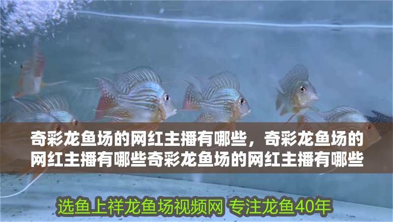 奇彩龍魚場的網(wǎng)紅主播有哪些，奇彩龍魚場的網(wǎng)紅主播有哪些奇彩龍魚場的網(wǎng)紅主播有哪些
