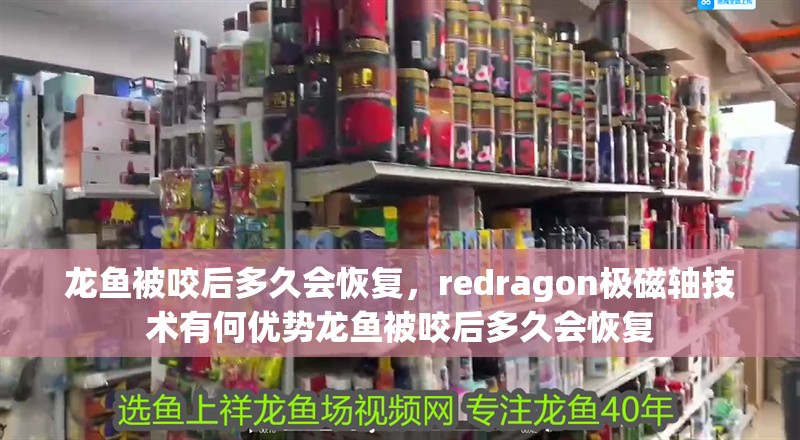 龍魚被咬后多久會恢復，redragon極磁軸技術有何優勢龍魚被咬后多久會恢復