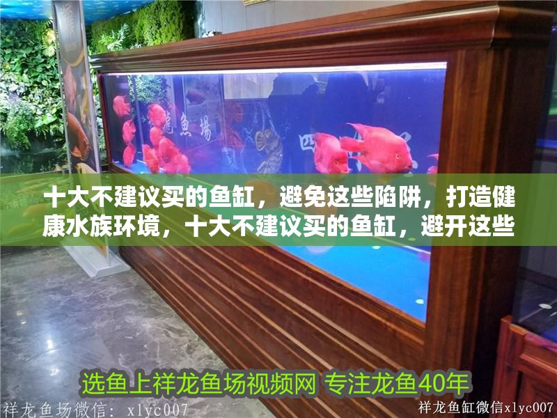 十大不建議買的魚缸，避免這些陷阱，打造健康水族環(huán)境，十大不建議買的魚缸，避開這些陷阱，打造健康水族環(huán)境