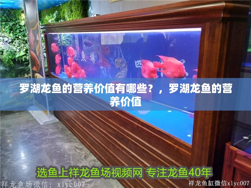 羅湖龍魚的營養價值有哪些？，羅湖龍魚的營養價值