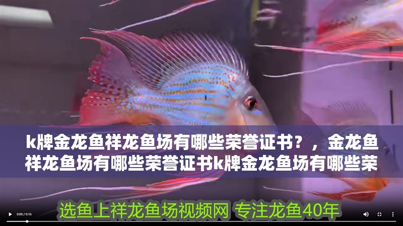 k牌金龍魚祥龍魚場有哪些榮譽證書？，金龍魚祥龍魚場有哪些榮譽證書k牌金龍魚場有哪些榮譽證書