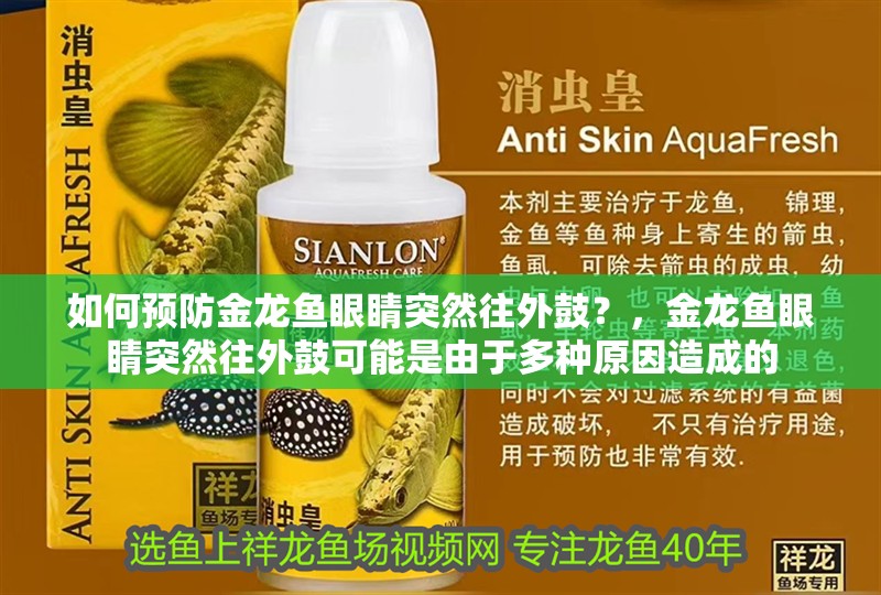 如何預防金龍魚眼睛突然往外鼓？，金龍魚眼睛突然往外鼓可能是由于多種原因造成的