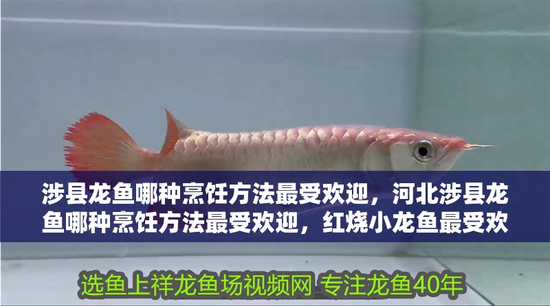 涉縣龍魚哪種烹飪方法最受歡迎，河北涉縣龍魚哪種烹飪方法最受歡迎，紅燒小龍魚最受歡迎 涉縣龍魚哪種烹飪方法最受歡迎，河北涉縣龍魚哪種烹飪方法最受歡迎，紅燒小龍魚最受歡迎 龍魚百科