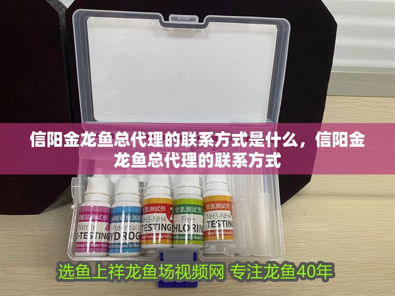 信陽金龍魚總代理的聯(lián)系方式是什么，信陽金龍魚總代理的聯(lián)系方式