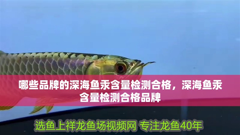 哪些品牌的深海魚汞含量檢測合格，深海魚汞含量檢測合格品牌