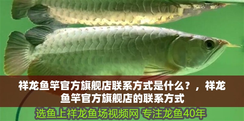 祥龍魚竿官方旗艦店聯系方式是什么？，祥龍魚竿官方旗艦店的聯系方式