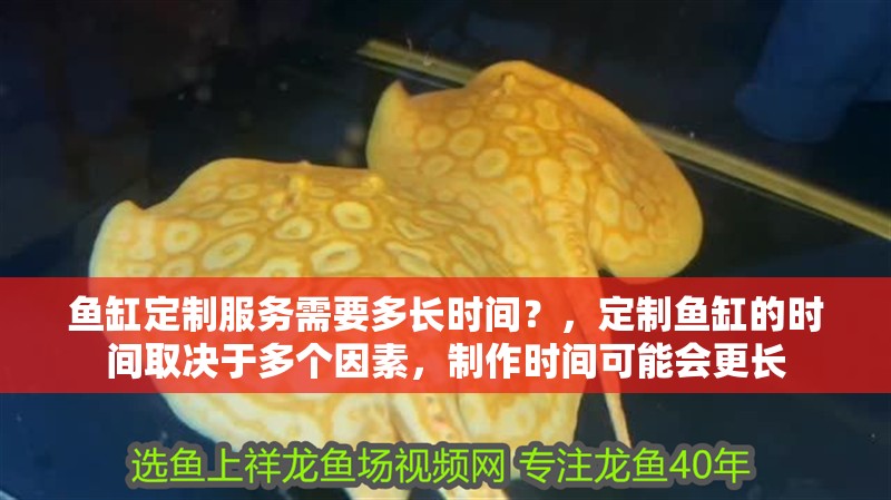 魚缸定制服務(wù)需要多長時間？，定制魚缸的時間取決于多個因素，制作時間可能會更長