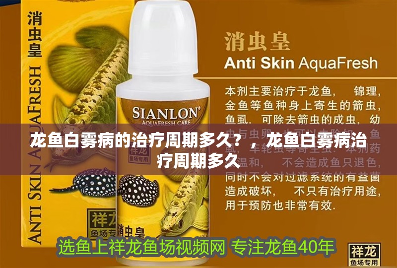 龍魚白霧病的治療周期多久？，龍魚白霧病治療周期多久