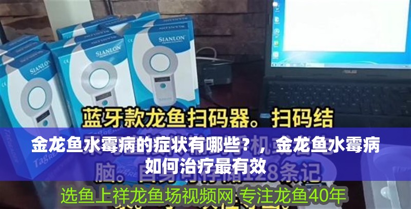 金龍魚水霉病的癥狀有哪些？，金龍魚水霉病如何治療最有效